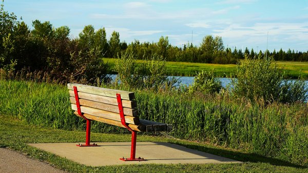 Brain training : les jeux de mémoire pour le bien-être des seniors